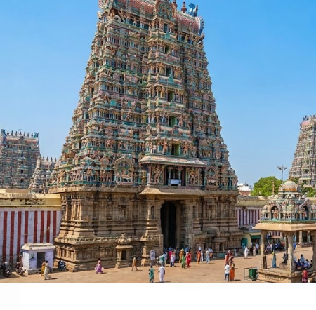 Nadi Astrology and Jothidam in Ranipet | Future Signals