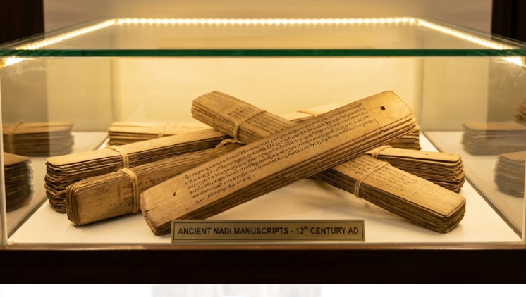 Nadi Astrology and Jothidam in Sivagangai | Life Answers