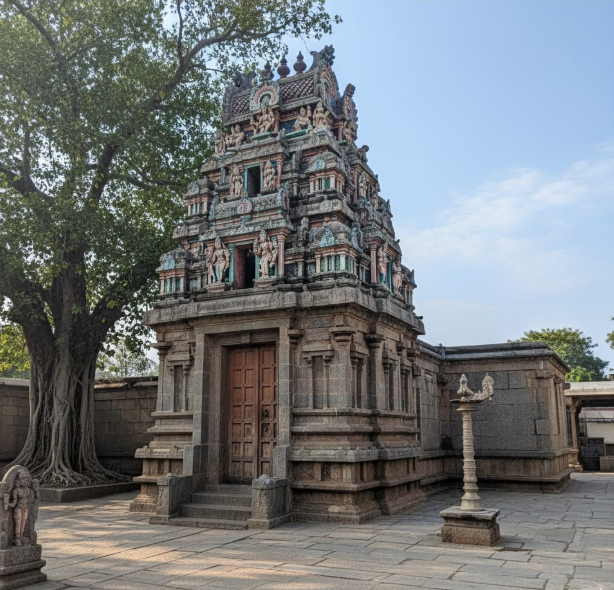 Nadi Astrology and Jyotish in Rajasthan | Jaipur Life Guidance